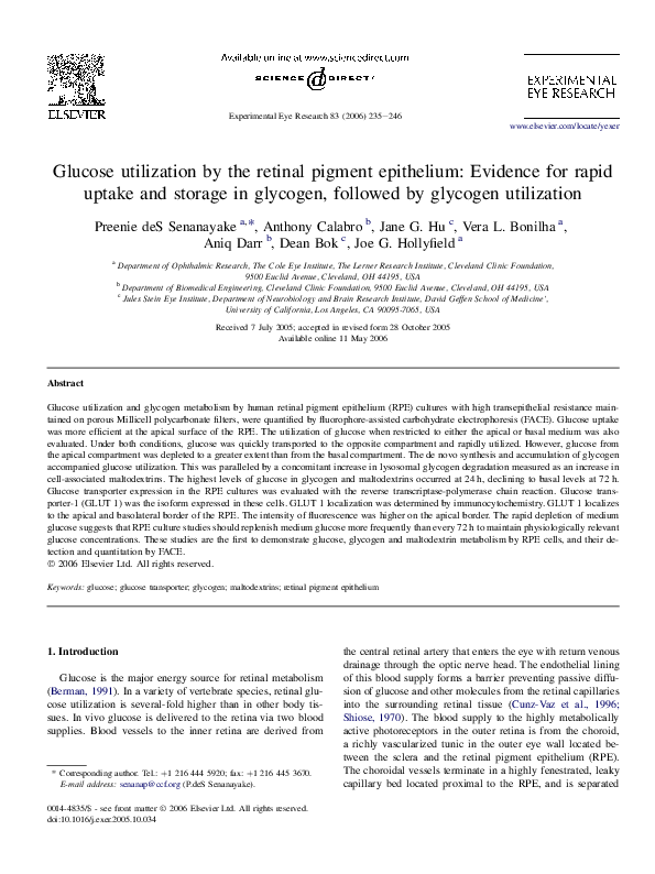 (PDF) Glucose utilization by the retinal pigment epithelium: Evidence ...