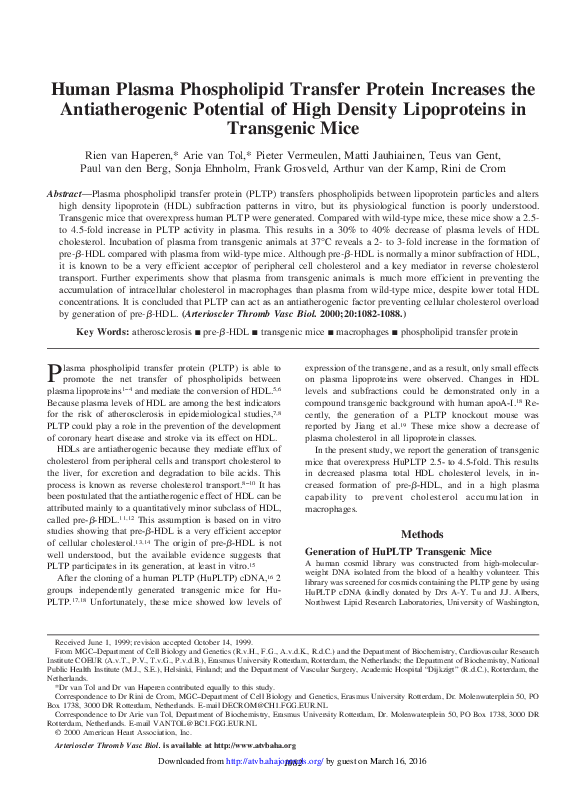 (PDF) Human Plasma Phospholipid Transfer Protein Increases the ...