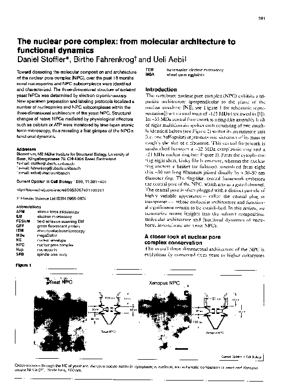 (PDF) The nuclear pore complex: from molecular architecture to ...