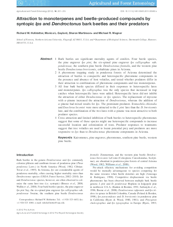 Bark beetle damage photos picture