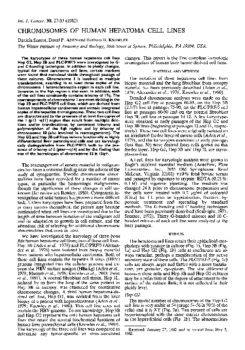 (PDF) Chromosomes of human hepatoma cell lines