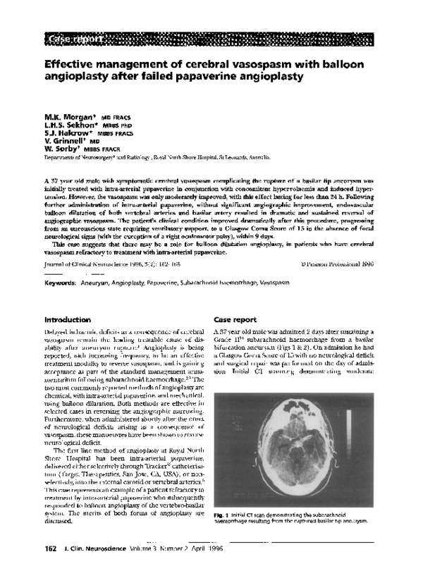 Balloon angioplasty essay image