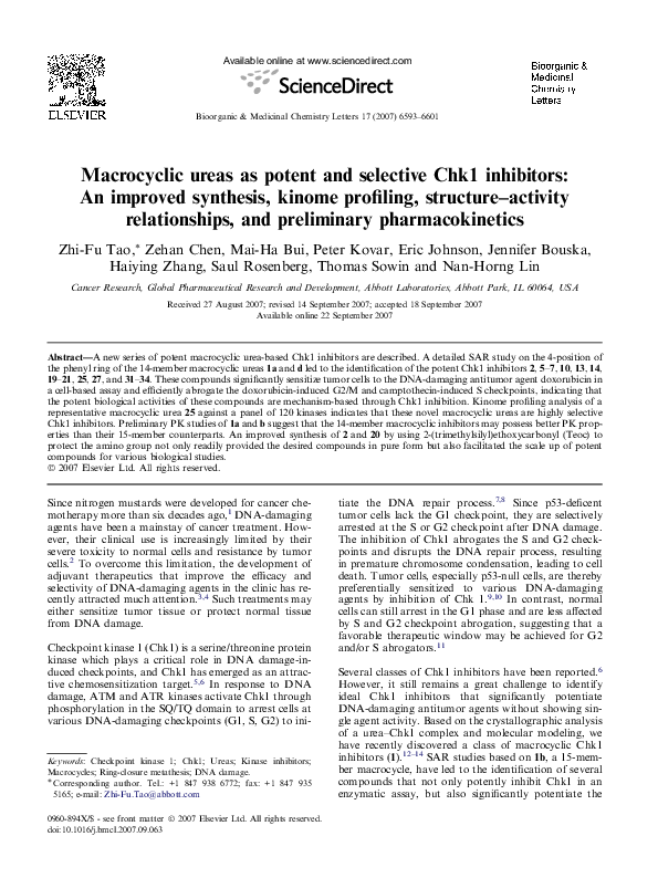 Macrocyclic synthesis essay 07 image