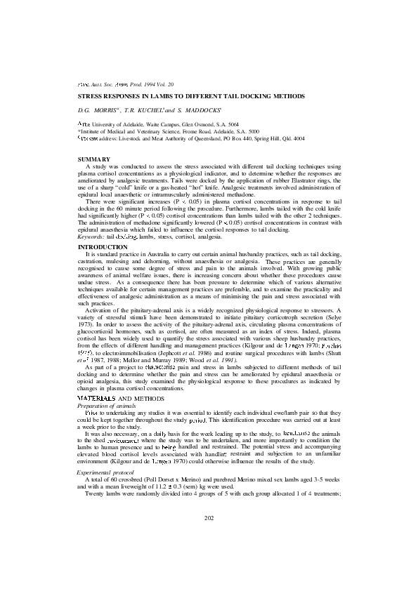 (PDF) Stress Responses in Lambs to Different Tail Docking Methods Tim