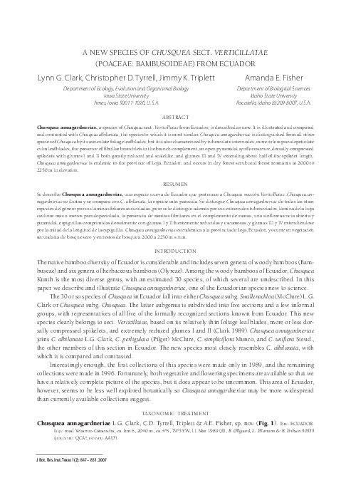 Structural change theory examples image
