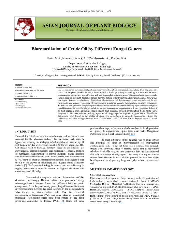 bioremediation of crude oil thesis