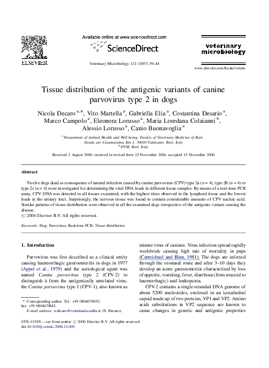 Essay of parvo 08 picture