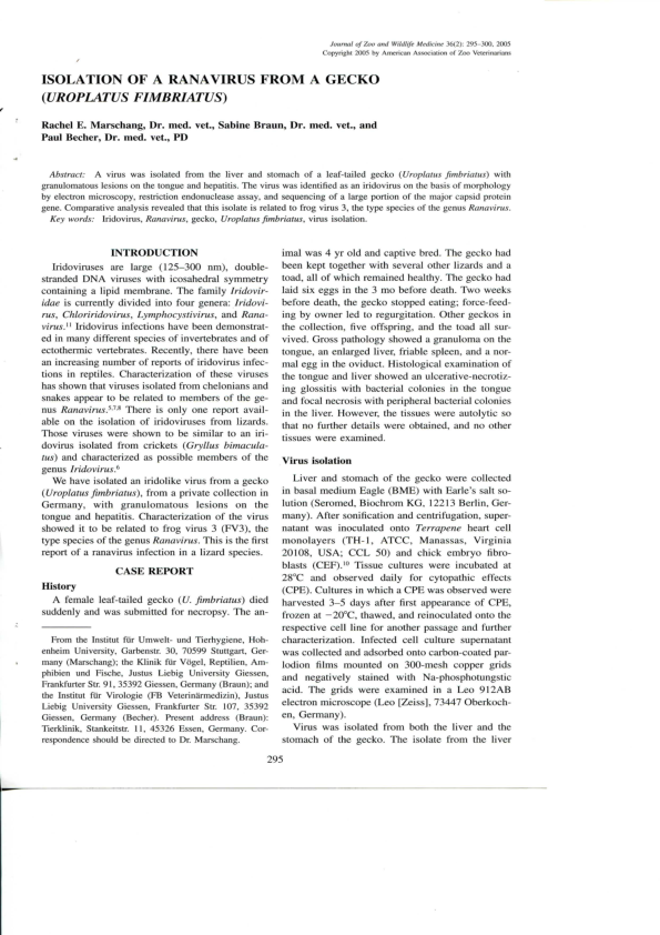 (PDF) Isolation of a Ranavirus From a Gecko (Uroplatus Fimbriatus)