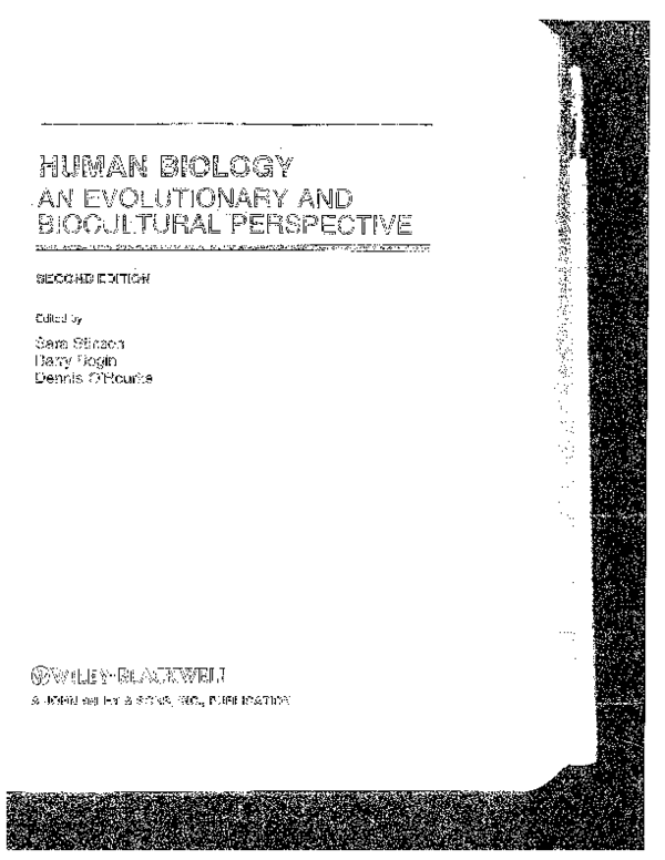 Harmful effects of uv rays on humans image