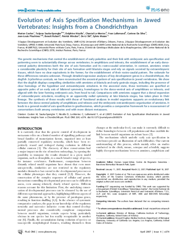 (PDF) Evolution of Axis Specification Mechanisms in Jawed Vertebrates Insights from a