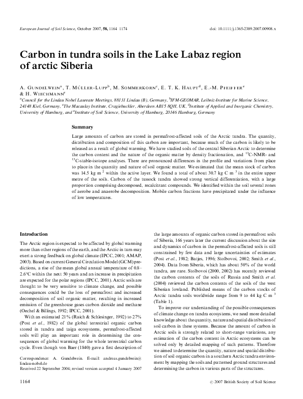 (PDF) Carbon in tundra soils in the Lake Labaz region of arctic Siberia