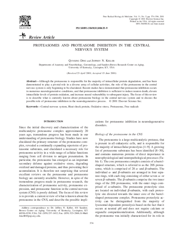 (PDF) Proteasomes and proteasome inhibition in the central nervous ...