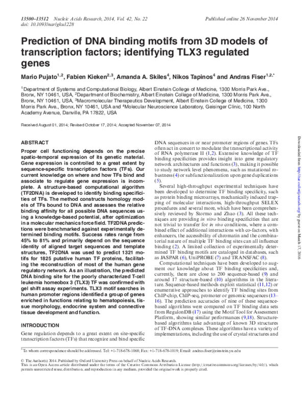 (PDF) Prediction of DNA binding motifs from 3D models of transcription ...