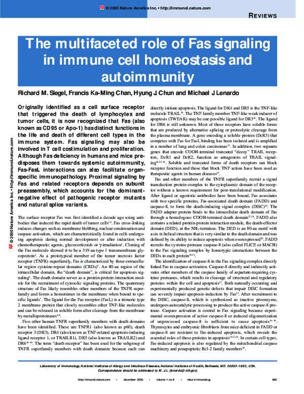 (PDF) The multifaceted role of Fas signaling in immune cell homeostasis ...