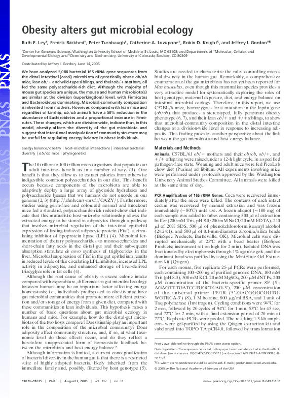 (PDF) Obesity alters gut microbial ecology