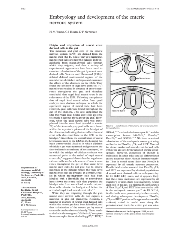 (PDF) Embryology and development of the enteric nervous system