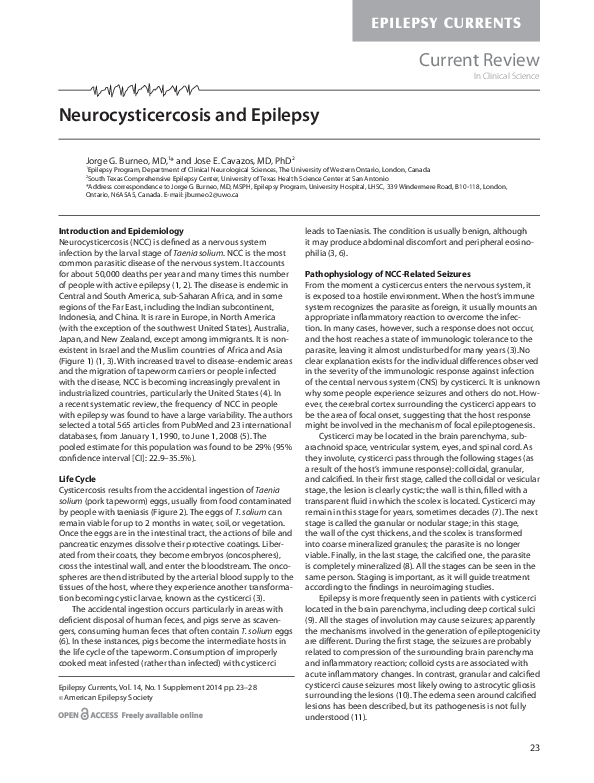 (PDF) Neurocysticercosis and Epilepsy