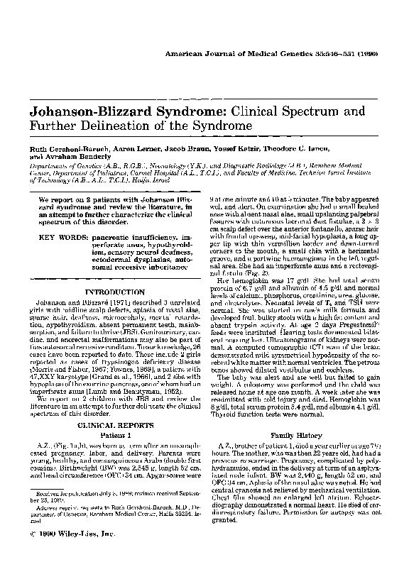 Blizzard research paper 08 picture