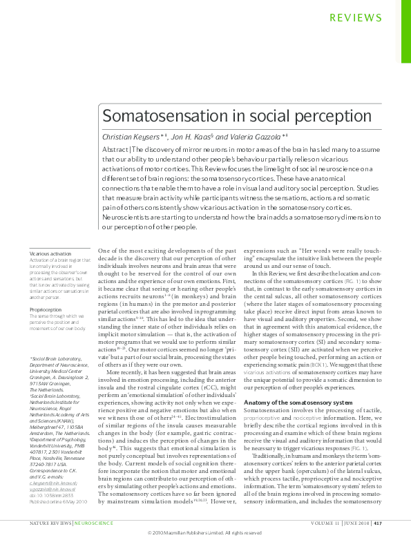 (PDF) Somatosensation in social perception