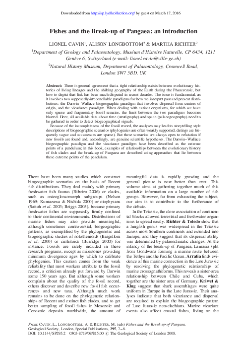 What is a pangea image