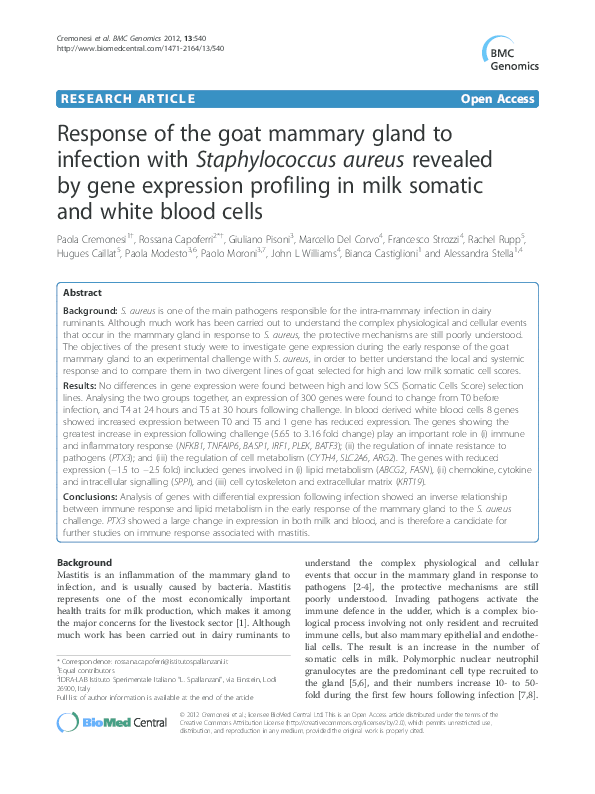 (PDF) Response of the goat mammary gland to infection with ...