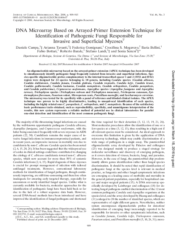 (PDF) DNA Microarray Based on ArrayedPrimer Extension Technique for