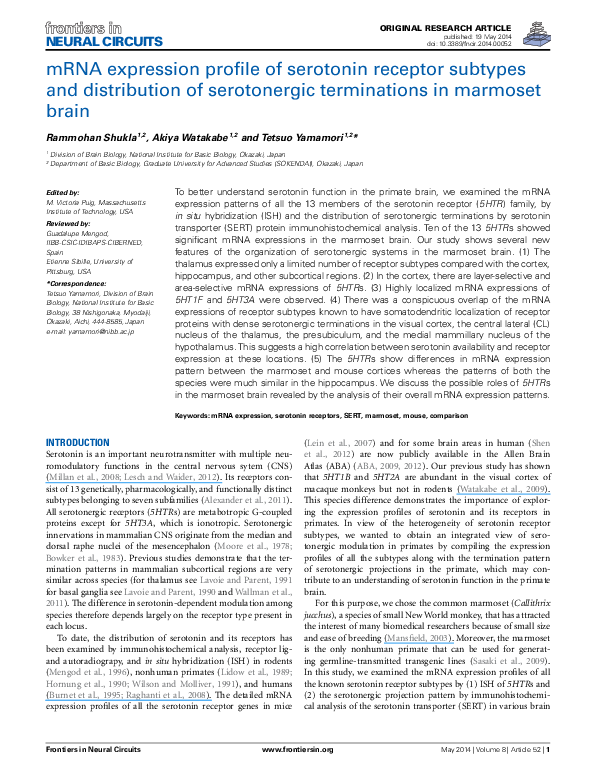 (PDF) mRNA expression profile of serotonin receptor subtypes and ...