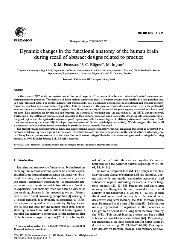 (PDF) Dynamic changes in the functional anatomy of thehuman brain ...