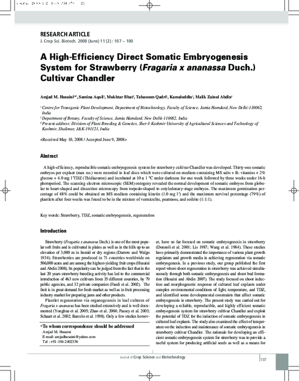 (PDF) A High-Efficiency Direct Somatic Embryogenesis System for ...