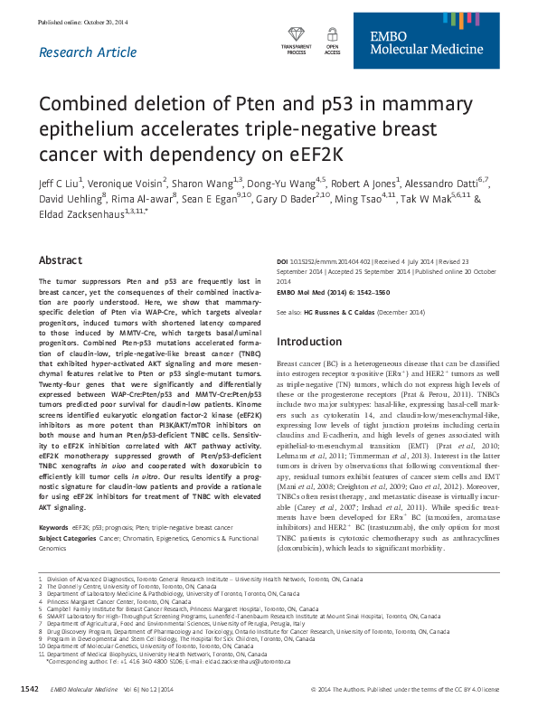 (PDF) Combined deletion of Pten and p53 in mammary epithelium ...