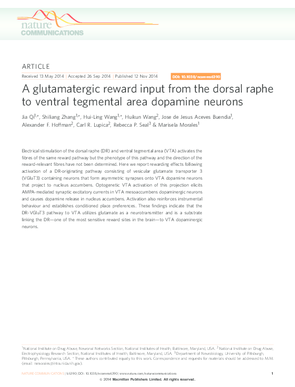 (PDF) A glutamatergic reward input from the dorsal raphe to ventral ...