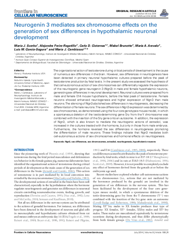 (PDF) Neurogenin 3 mediates sex chromosome effects on the generation of ...