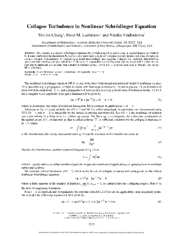 (PDF) Collapse Turbulence in Nonlinear Schrödinger Equation