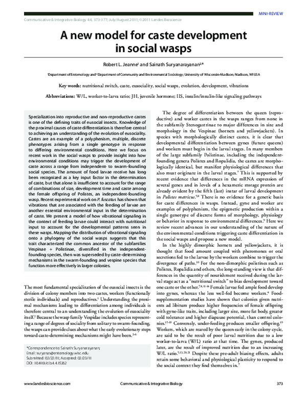 (PDF) A new model for caste development in social wasps