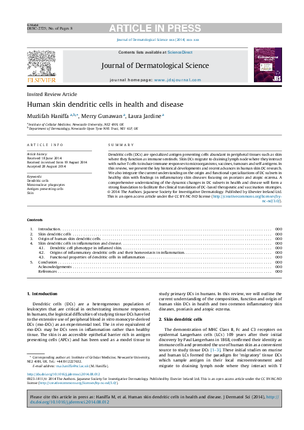 (PDF) Human skin dendritic cells in health and disease