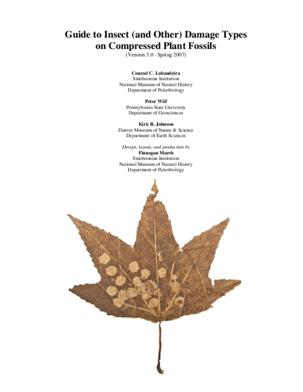 (PDF) Guide to insect (and other) damage types on compressed plant ...