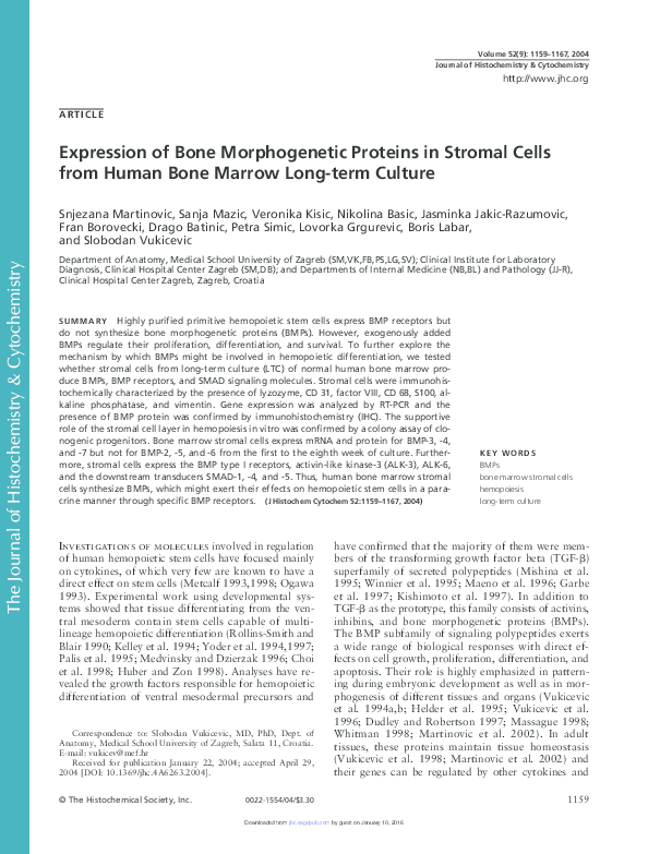 (PDF) Expression of Bone Morphogenetic Proteins in Stromal Cells from ...