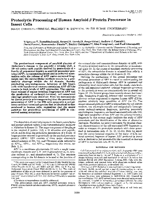 (PDF) Proteolytic processing of human amyloid beta protein precursor in ...