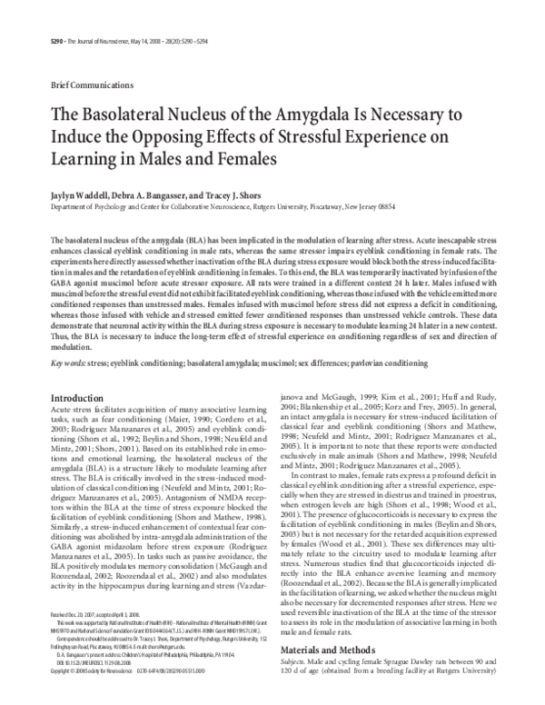 (PDF) The basolateral nucleus of the amygdala is necessary to induce ...