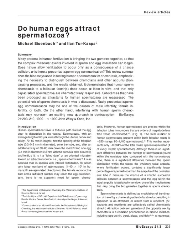 (PDF) Do human eggs attract spermatozoa? Michael Eisenbach Academia.edu