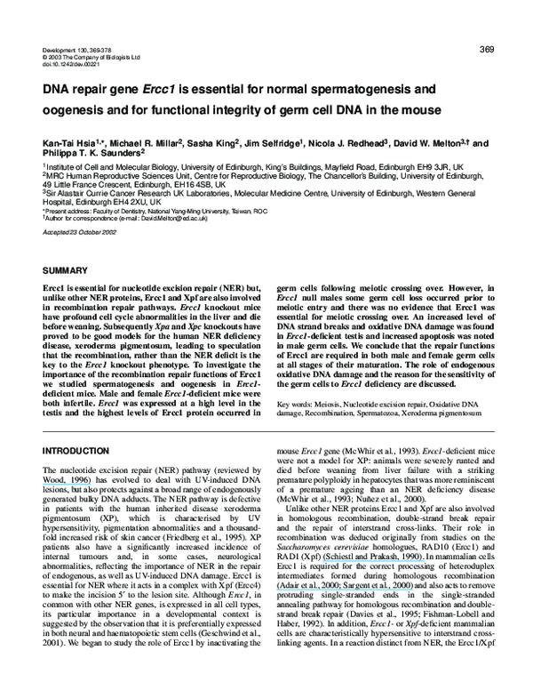 (PDF) DNA repair gene Ercc1 is essential for normal spermatogenesis and ...