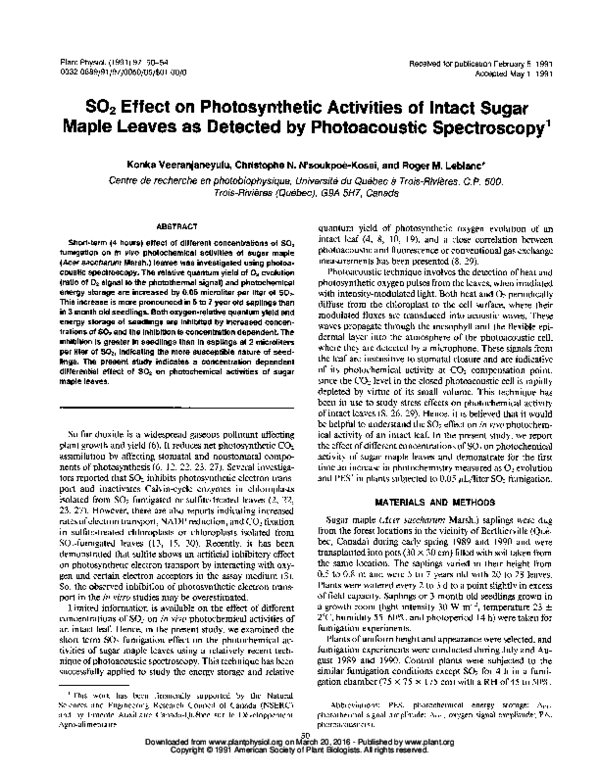 (PDF) SO2 Effect on Photosynthetic Activities of Intact Sugar Maple ...