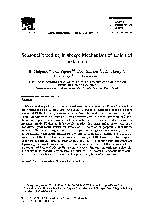(PDF) Seasonal breeding in sheep Mechanism of action of melatonin