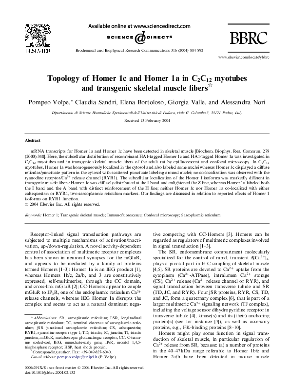 Term papers homer 03 picture