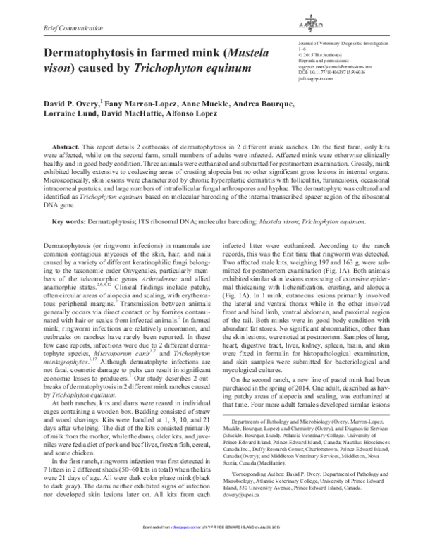 How to prevent ringworm picture