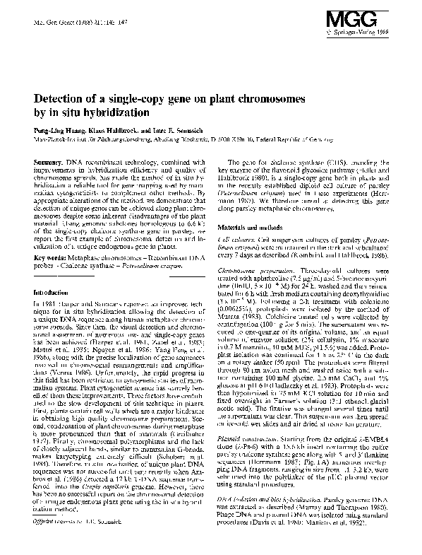 (PDF) Detection of a single-copy gene on plant chromosomes by in situ ...