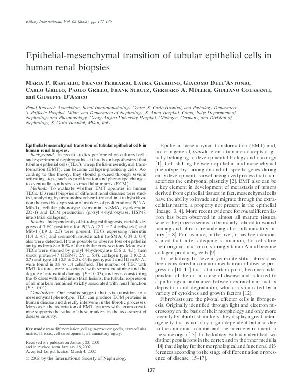 (PDF) Epithelial-mesenchymal transition of tubular epithelial cells in ...