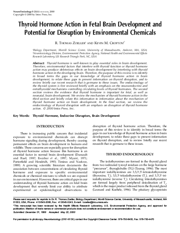 (PDF) Thyroid hormone action in fetal brain development and potential ...
