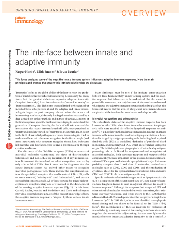 (PDF) The interface between innate and adaptive immunity