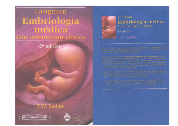 Embriologia De Langman 12 Edicion Slideshare fity.club